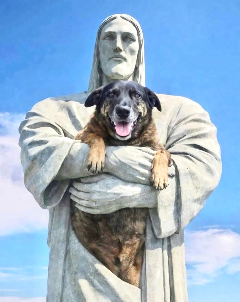 Descrição da imagem